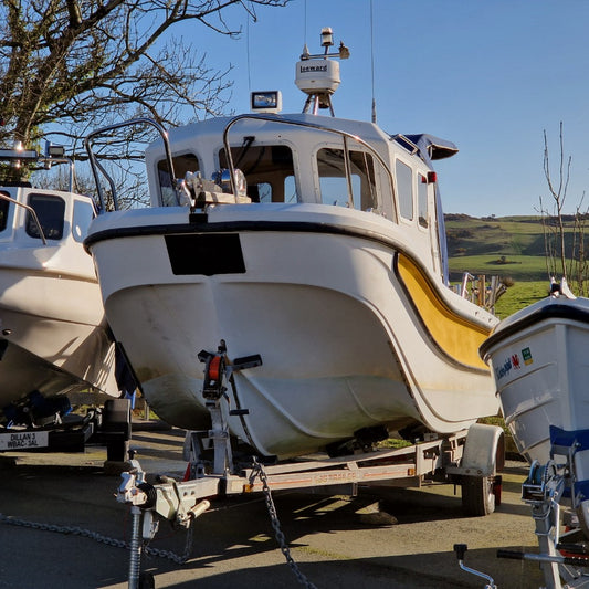 Leeward 18 w/ Evinrude E-TEC 75hp