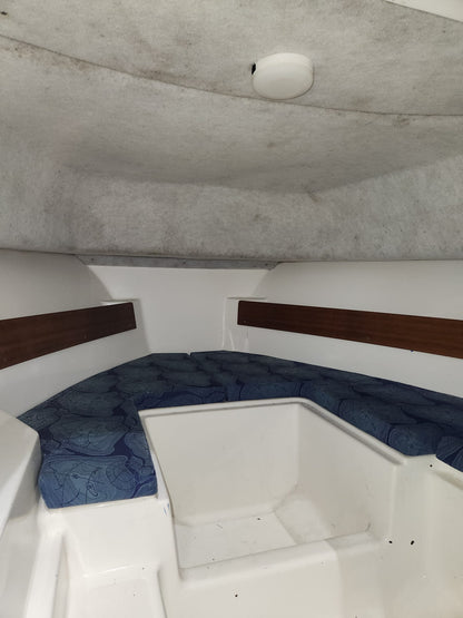 White Shark 206 Cabin w/ Yamaha 150hp