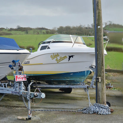 Quicksilver 450 w/ Evinrude E-TEC 40hp