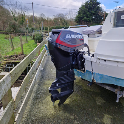 Quicksilver 450 w/ Evinrude E-TEC 40hp