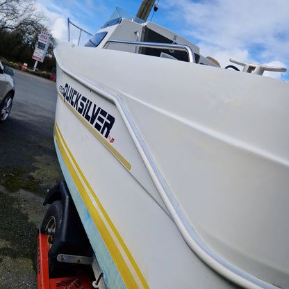 Quicksilver 450 w/ Evinrude E-TEC 40hp