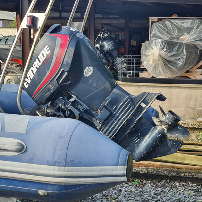 Brig F500 w/ Evinrude E-TEC 50hp