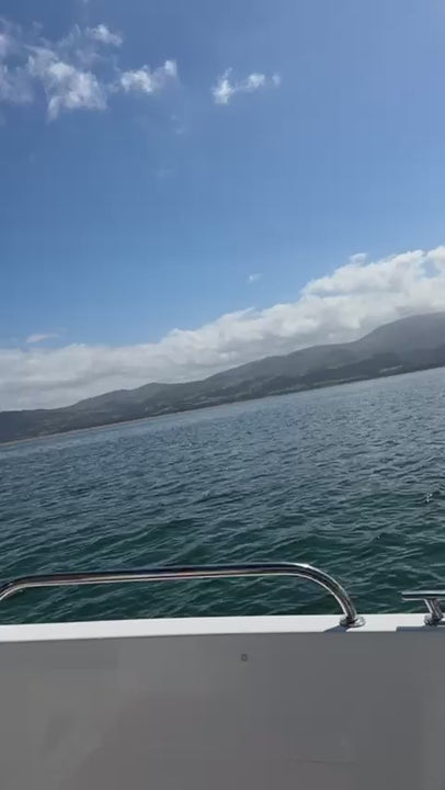 Spectrum 480P w/ Tohatsu 50hp