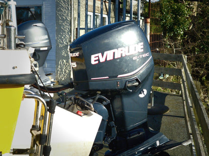 Leeward 18 w/ Evinrude E-TEC 75hp
