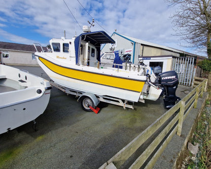 Leeward 18 w/ Evinrude E-TEC 75hp
