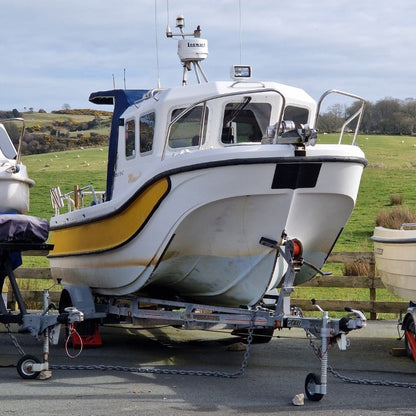 Leeward 18 w/ Evinrude E-TEC 75hp