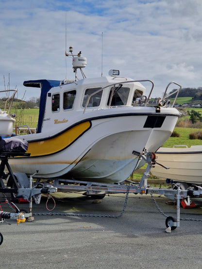 Leeward 18 w/ Evinrude E-TEC 75hp