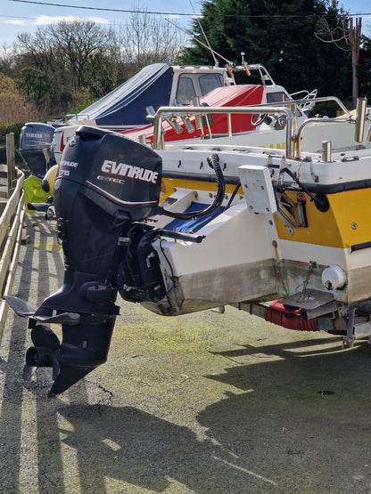 Leeward 18 w/ Evinrude E-TEC 75hp