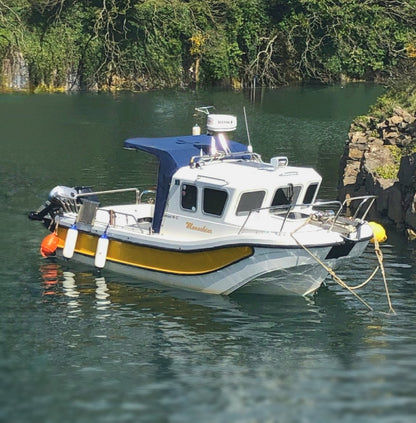 Leeward 18 w/ Evinrude E-TEC 75hp